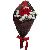 Rosa Vermelha Carinho