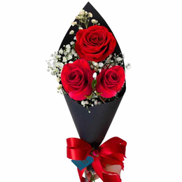 Imagem de Buquê Romântico com 3 Rosas Vermelhas