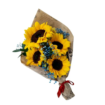 Encantador Buquê com 4 Girassóis