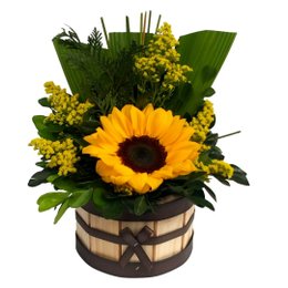 Imagem de Arranjo Solitário de Girassol no Cachepot