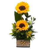 Arranjo Duplo de Girassol no Cachepot