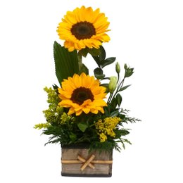 Imagem de Arranjo Duplo de Girassol no Cachepot