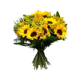 Buquê Luxo de 12 Girassóis