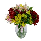 Arranjo de Astromélias Coloridas