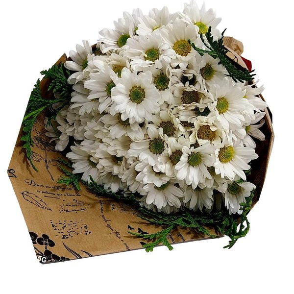 Buquê Vip de Margarida