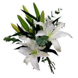 Imagem de Buquê de Lírios com Eucaliptos
