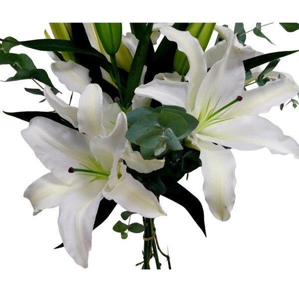 Buquê de Lírios com Eucaliptos