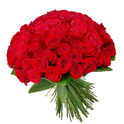 Buquê Luxo de 100 Rosas Importadas