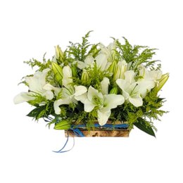 Imagem de Cesta de Lírios Brancos 