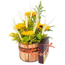 Imagem de Cachepô Girassol e Chocolates 