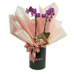 Imagem de Box Premium Orquídea com Ferrero