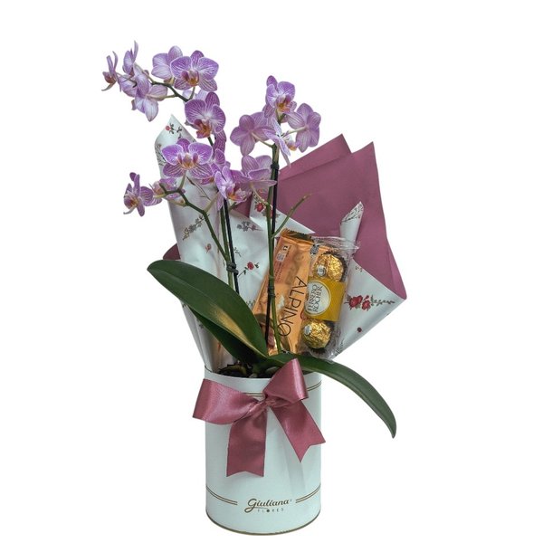 Box Elegance Branca Giuliana Flores Ferrero e Alpino