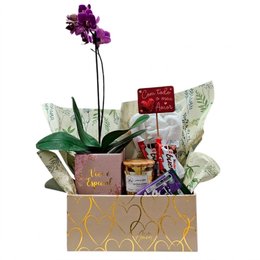 Imagem de Cesta Especial Para o Amor Com Chocolate E Orquídea