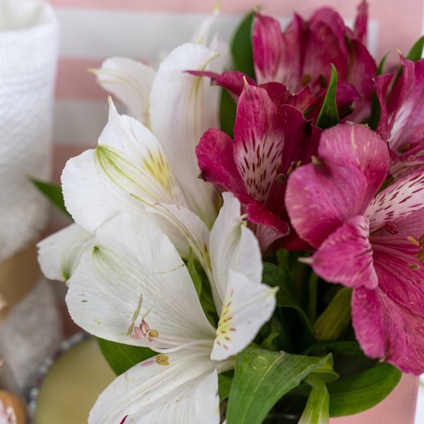 Aroma e Delicadeza