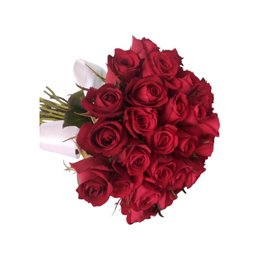 Imagem de 36 Rosas da Paixão