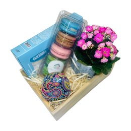 Imagem de Box Sensorial Mimo