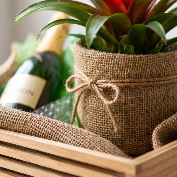 Box Date Me Bromelia