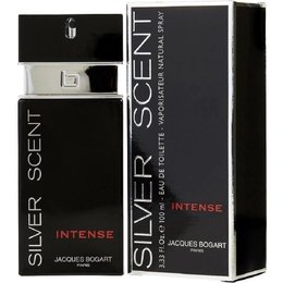 Imagem de Perfume Masculino Silver Scent Intense EDT 100 ml