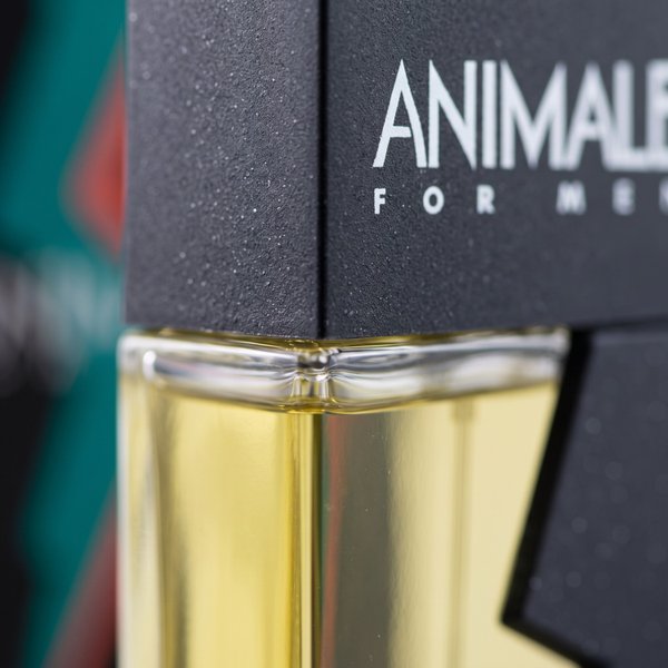 Perfume masculino Animale for men EDT 100 ml