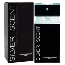 Imagem de Perfume masculino Silver Scent EDT 100 ml