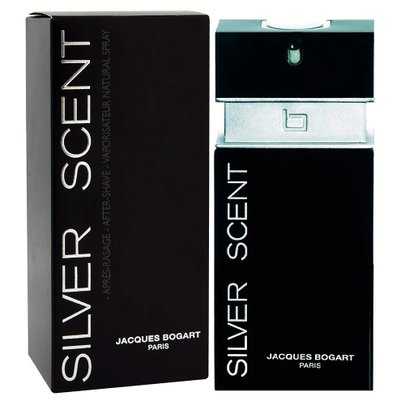 Perfume masculino Silver Scent EDT 100 ml