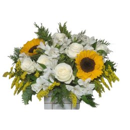 Imagem de Arranjo de Rosas e Girassóis 