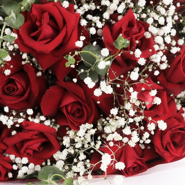 Buquê de 12 Rosas Vermelhas 