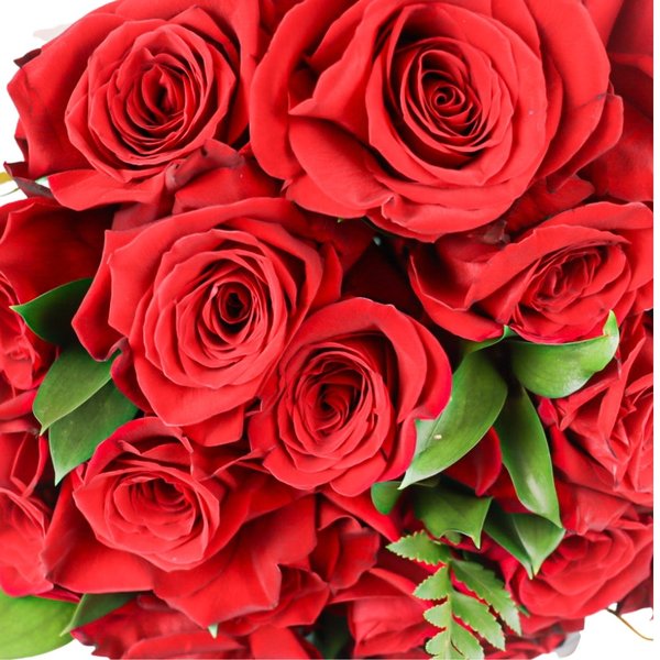 Buquê de 20 Rosas Vermelhas e Folhagens 