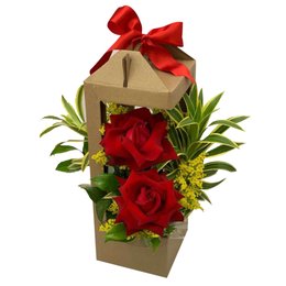 Imagem de Arranjo Duo de Colombiana