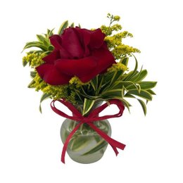 Imagem de Arranjo de Uma Rosa no Vidro 