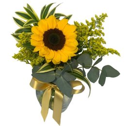 Imagem de Arranjo Girassol 
