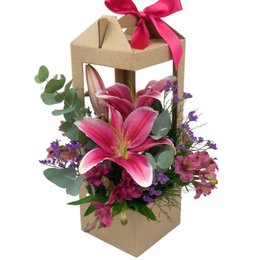 Imagem de Duo de Lírio Pink