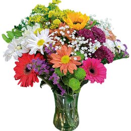 Imagem de Arranjo Primavera