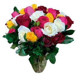 Imagem de Amor em Cores