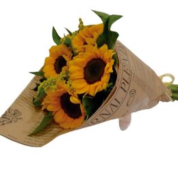 Imagem de Noticias de Girassóis