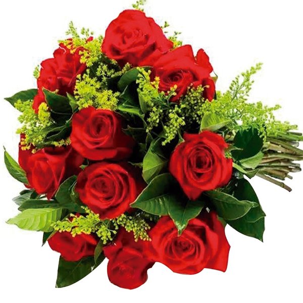  Rosas Vermelhas