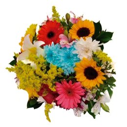 Imagem de Flores do Campo