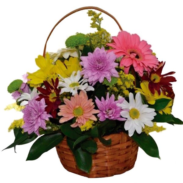 Cesta Primavera