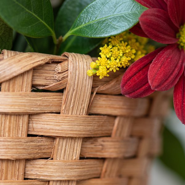 Cesta Primavera