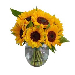 Imagem de Vaso Encanto de Girassóis