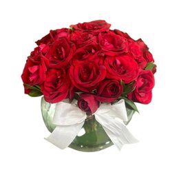 Imagem de Delicadeza de Amor