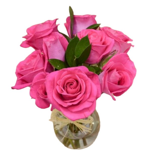Vasos Pink