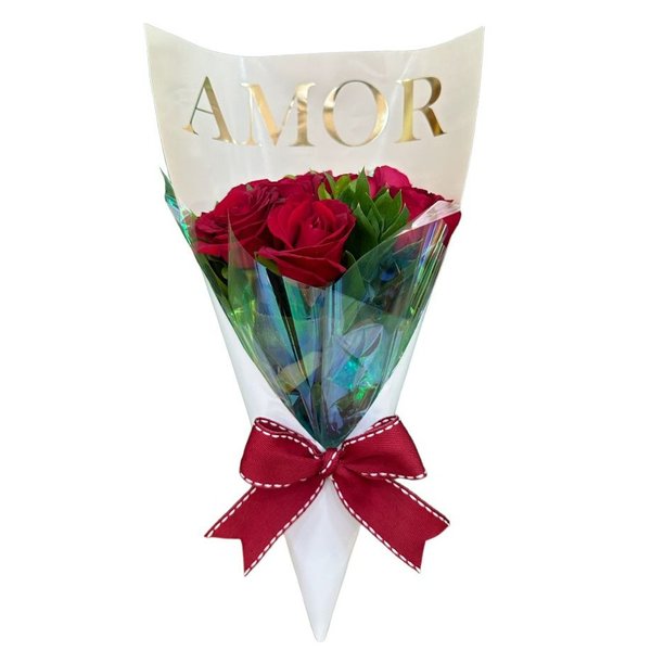 Amor & Amor