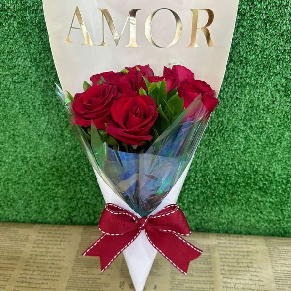 Amor & Amor