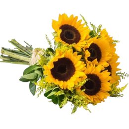 Imagem de Ramo Girassol