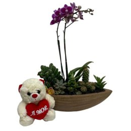 Imagem de Canoa Aço Mini Orquídea cactos suculentas e Urso