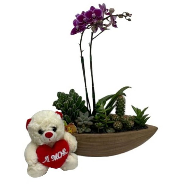 Canoa Aço Mini Orquídea cactos suculentas e Urso