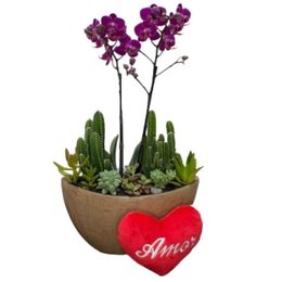 Imagem de Arca Aço, Orquídea, Mini Coração 