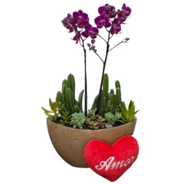 Arca Aço, Orquídea, Mini Coração 