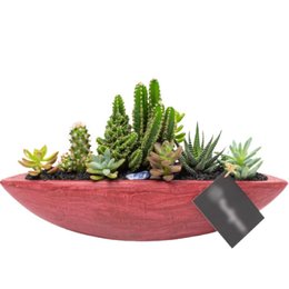 Imagem de Canoa Bordô Cactos e Suculentas 